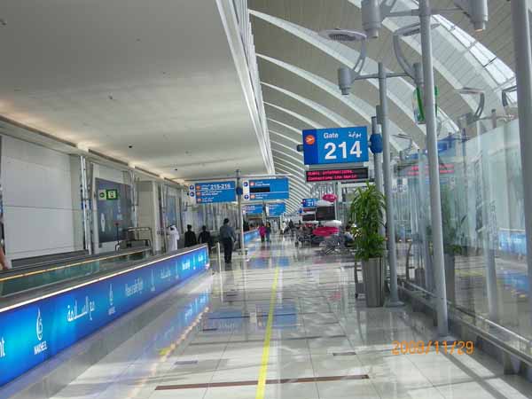 //guoshudd.com/UploadFile/20101115021751538.jpg